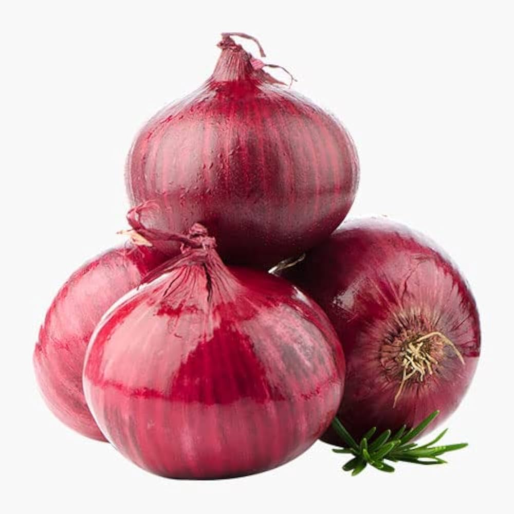 Rossa Piatta onion plant grown from seeds with flat, red-skinned flavorful onions